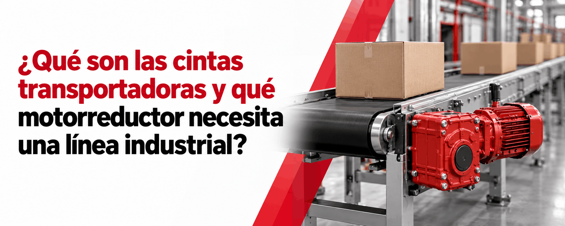 que-son-las-cintas-transportadoras-y-que-motorreductor-necesita-una-linea-industrial